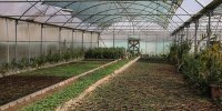 الزام  QR کد برای محصولات کشاورزی از ابتدای ‌شهریور
