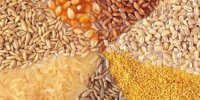 بلاتکلیفی قیمت کالاهای اساسی/الزام شناسنامه برای باغات و محصولات