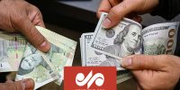 روایت مدیرعامل بورس کالا از چرایی تغییر سیاست ارزی دولت
