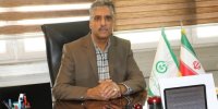 حدود ۴۰ درصد گندم از سوی تشکل‌های تعاون روستایی خریداری شد