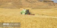 رتبه برتر آذربایجان شرقی در طرح جهش تولید دیمزارها