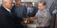 امحای بیش از ۳۷ هزار سکه تاریخی تقلبی در گیلان