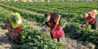 نشان آبادی را از رادیو بگیرید/ برنامه درآمدزایی روستاییان