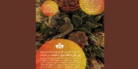 ۳۹ هنرمند با بوی گل و بانگ مرغ به صحنه می‌آیند