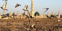 تک‌آهنگ سوگ صادق(ع) شنیدنی شد/ دغدغه‌ای برای بقیع