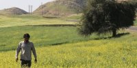 درب در سینماهای فرانسه روی پرده می‌رود