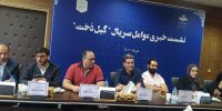 کسی برای گیلدخت کم نگذاشت/بهترین سریال خانگی ۵میلیون مخاطب دارد