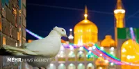شهری برای گفتگو و حال خوب/ نهضت تولید محتوای رضوی ایجاد کنیم