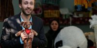 سریال‌های جدید ازشبکه تماشا پخش می‌شوند/حضورحسام محمودی دریک کمدی