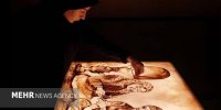 تمایل شبکه پنج برای ساخت پروانه/ لعیا زنگنه بسیار همراه بود