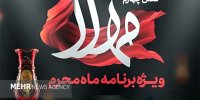 توضیح جدید درباره حواشی مهلا/مدیران روبیکا گفتند تابع ساترا هستیم