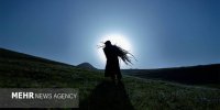 تولید دَدَ چوپان به پایان رسید/ قصه حسادت به گوسفندان!