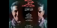 کسی برای یک گوریل غمگین کاری نمی‌کند در تئاتر شهر