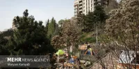 اسکان نوروزی شهروندان در بوستان‌های تهران +اسامی و آدرس پارک‌ها