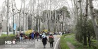 رشد توزیع زمانی و مکانی سفر نسبت به سال گذشته