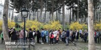 بزرگترین عملیات بهاری شهرداری تهران در نوروز ۱۴۰۲