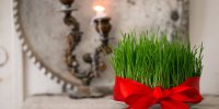 سیزده به در؛ فرصتی برای گره زدن سبزه زندگی به طبیعت