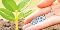 تدوین الگوی کشت اراضی باغی برای نخستین بار