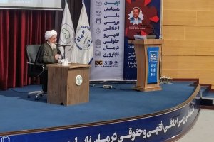 رئیس مؤسسه آموزش عالی اجتهاد: ابعاد فقهی رحم اجاره‌ای بررسی شود؛ مساله پیچیده و حساسی است/ خرید تخمک و اسپرم را نمی‌توان با خرید اعضای بدن مقایسه کرد