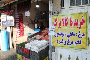 خبر مهم وزیر جهاد کشاورزی درباره کالابرگ