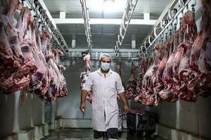 مردم کویت سالانه 16 برابر و جیبوتی  ۳.۵ برابر هر ایرانی گوشت مصرف می کنند