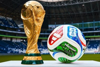 عکس | یک سگ فینالیست‌های جام جهانی را مشخص کرد