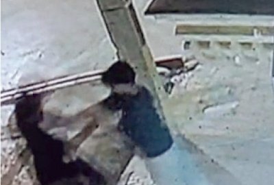 قتل خونین پسر دانشجو به دست فوتبالیست فراری/ عکس