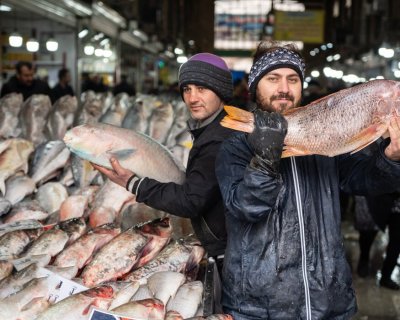 هیجان خرید ماهی شب عید از بازار | تصاویر