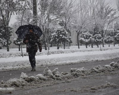 بارش سنگین برف در شهر کرمانشاه