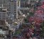 عکس | خودروهای حامل پیکر شهدا در میان جمعیت حاضر در تشییع رهبر شهید انقلاب در مشهد عکس | خودروهای حامل پیکر شهدا در میان جمعیت حاضر در تشییع رهبر شهید انقلاب در مشهد