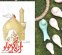 روایت کربلا از زبان دختری که تازه زائر شده است