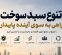 تنوع سبد سوخت، راهی به‌سوی آینده پایدار