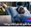 هر بیمار مرگ مغزی چند نفر را نجات می‌دهد؟