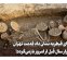 کاوشهای قیطریه نشان داد قدمت تهران به سه هزار سال قبل از امروز بازمیگردد کاوشهای قیطریه نشان داد قدمت تهران به سه هزار سال قبل از امروز بازمیگردد