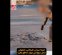 فیلم ۱۸+  |  اعدامی‌های اصفهان چند پلیس را سلاخی کردند؟