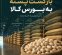 بازگشت پسته به بورس کالا با پذیرش یک انبار جدید بازگشت پسته به بورس کالا با پذیرش یک انبار جدید