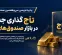 تاج‌گذاری جدید در بازار صندوق‌های طلا