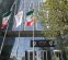 درج یک شرکت دارویی در بورس تهران