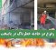 وقوع دو حادثه خطرناک در پایتخت