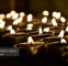 شام غریبان امام رضا (ع)؛ قدمهای عاشقانه به سوی حرم رضوی شام غریبان امام رضا (ع)؛ قدمهای عاشقانه به سوی حرم رضوی