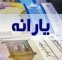 واکنش مردم به واریز یارانه تیرماه/یارانه میشه پول دو عدد چیپس!