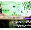 پیوند سلول‌های بنیادی خون‌ساز نجات‌دهنده کدام بیماران است؟