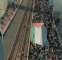 موج بیداری جهانی در حمایت از فلسطین موج بیداری جهانی در حمایت از فلسطین