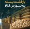 بازگشت پسته به بورس کالا با پذیرش یک انبار جدید بازگشت پسته به بورس کالا با پذیرش یک انبار جدید