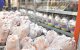 قیمت جدید گوشت مرغ امروز ۲۳ مرداد ۱۴۰۵/ سینه مرغ کیلویی چند شد؟ + جدول
