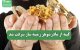 کینه از مادرشوهر زمینه ساز سرقت شد