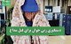 دستگیری زنی جوان برای قتل مداح
